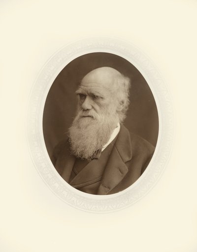 Charles Robert Darwin door Lock and Whitfield